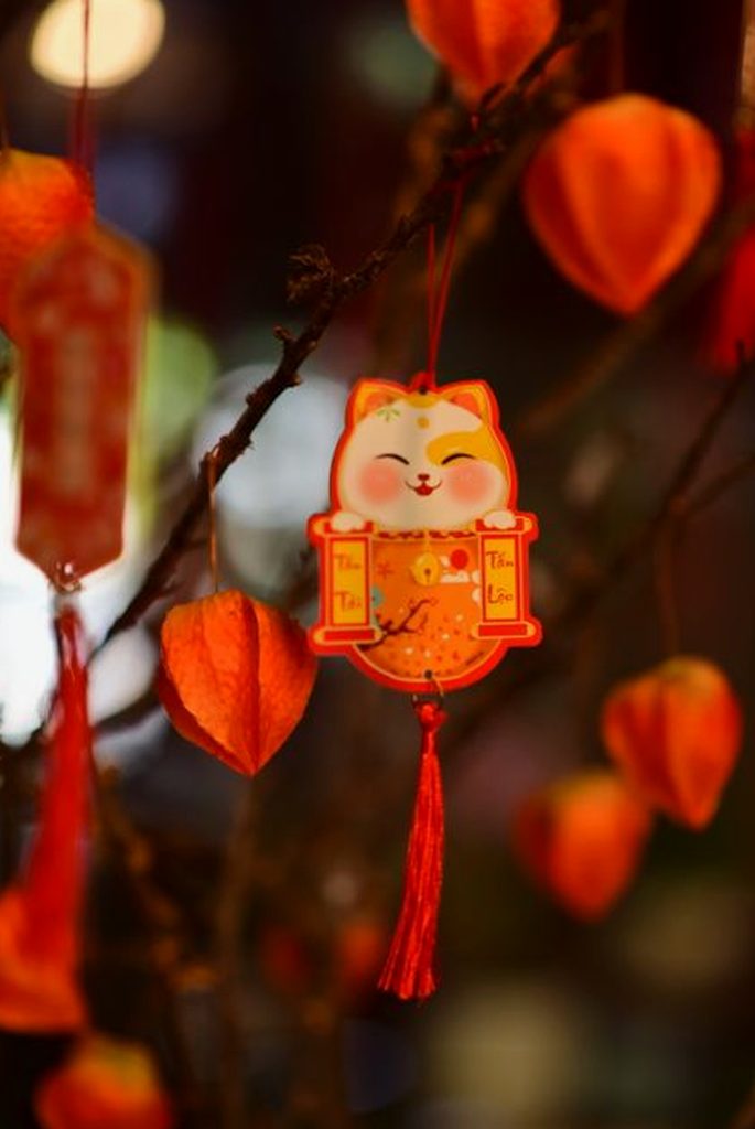 ví điện tử Nohu